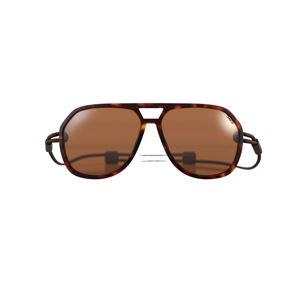 Classics - Tortoise -Polarized Brown