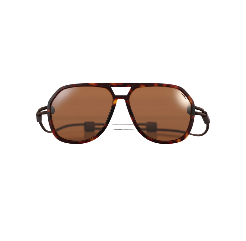 Classics - Tortoise -Polarized Brown